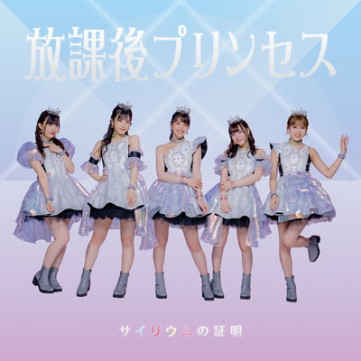 Sairiumu no Syoumei Front Cover