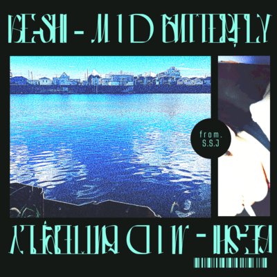 mid butterfly Front Cover