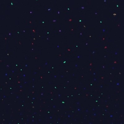 SWEET SIXTEEN Front Cover