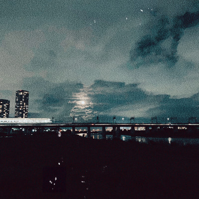 Swallowtail Front Cover