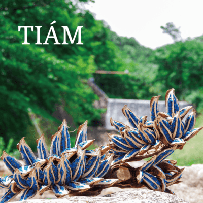 TIAMのジャケット写真