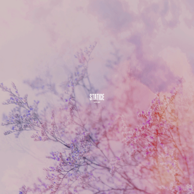 Statice Front Cover