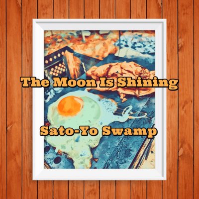 The moon is shining Front Cover