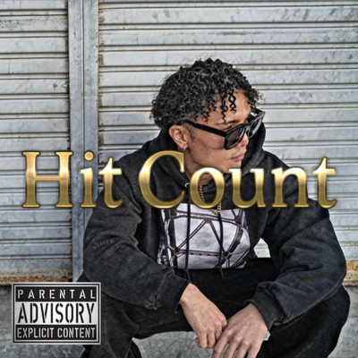 Hit Countのジャケット写真
