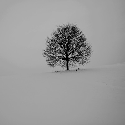 movieのジャケット写真