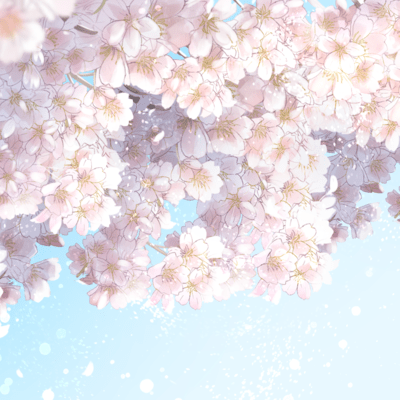 Wind-lit cherry blossom road Front Cover