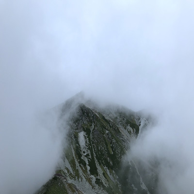 リタ山に咲く花のジャケット写真