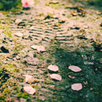 Coming back (blossom remix) Front Cover