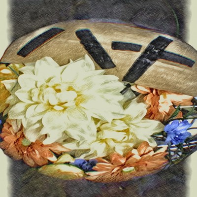 HANA Front Cover