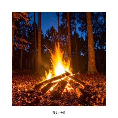 Sound of a Campfire Front Cover