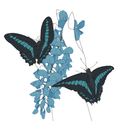 Inertiaのジャケット写真