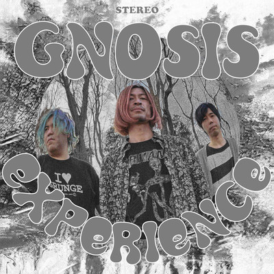 EXPERIENCE Front Cover