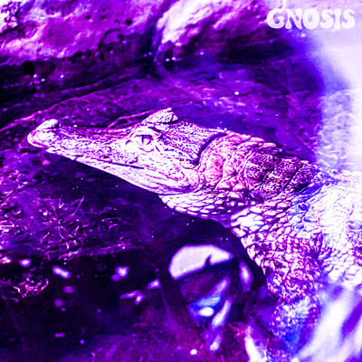 CROCODILE EYES Front Cover