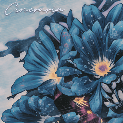 Cineraria Front Cover