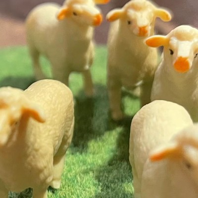 小雨天気のジャケット写真