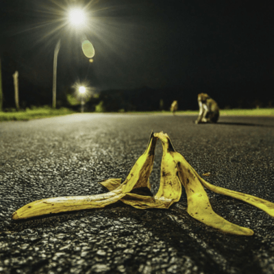 monkey business (feat. DJ.DAI) Front Cover