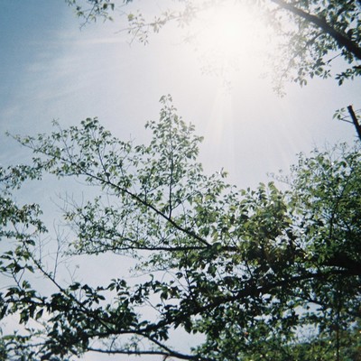 See you again my birthday Front Cover