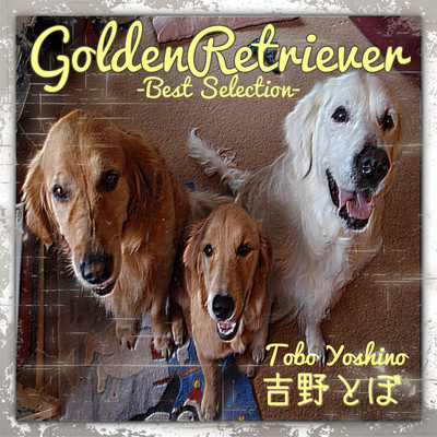 GoldenRetriever ~Best Selection~ Front Cover