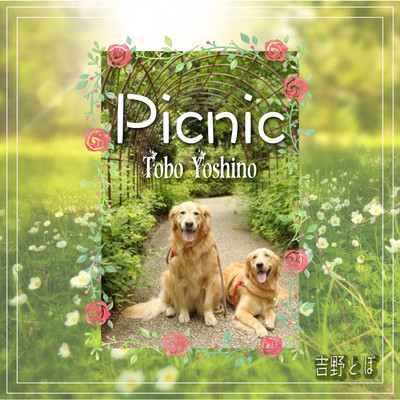 Picnic Front Cover