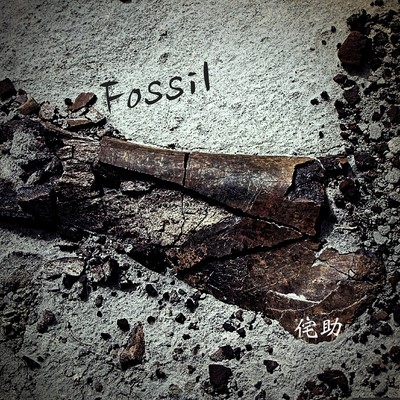 Fossil Front Cover