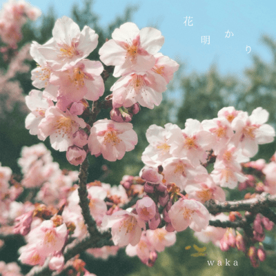 花明かりのジャケット写真