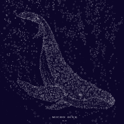 MICRO DIVE Front Cover