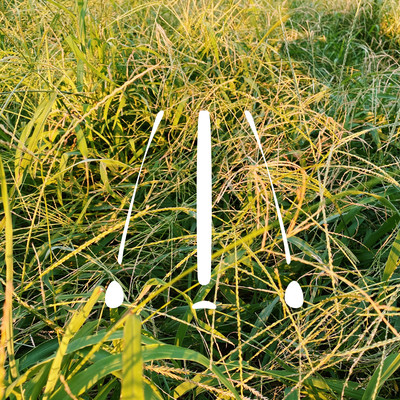 It is sun, beyond mistake. Front Cover