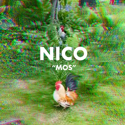 NICOのジャケット写真