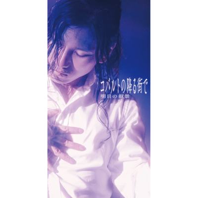 In the City Where Cobalt Falls Front Cover