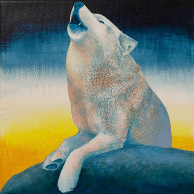 day and night Front Cover