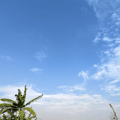 Freedom & Happiness Front Cover