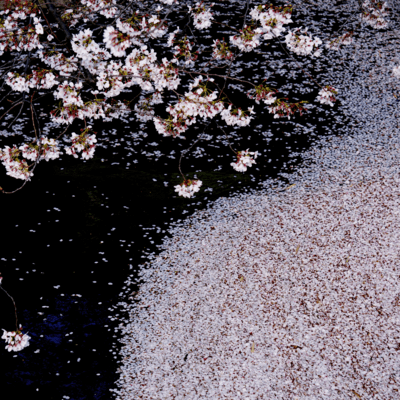 One Note Dance Front Cover