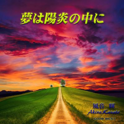 Dreams in the heat haze Front Cover