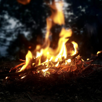 kindleのジャケット写真