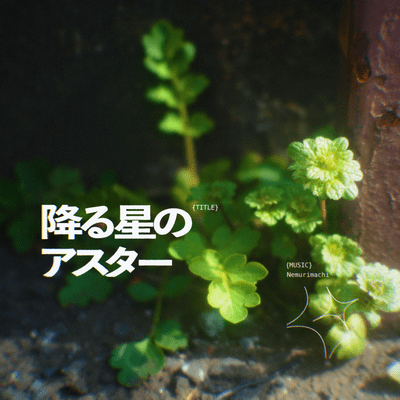 Fallingstar Aster Front Cover