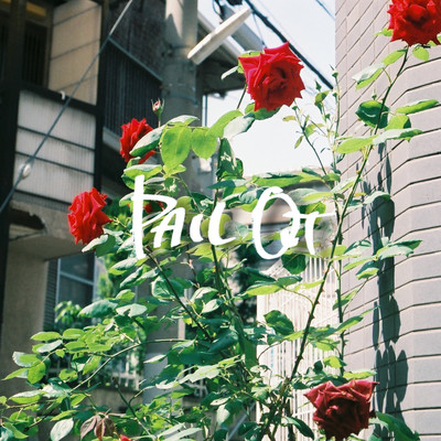 Rose Front Cover