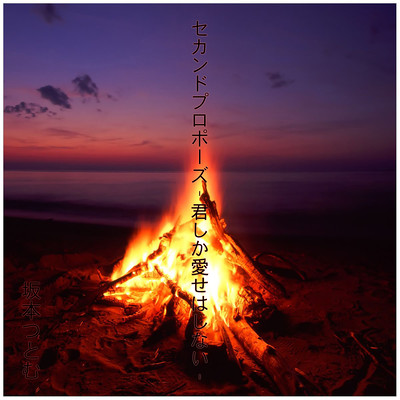 2ndPropose -Kimishikaaisehashinai- Front Cover