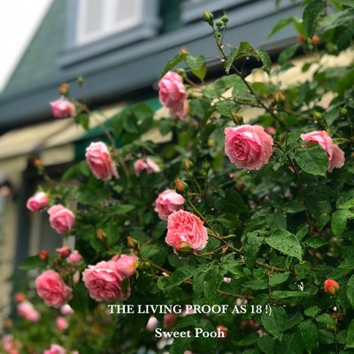 THE LIVING PROOF AS 18 !) Front Cover