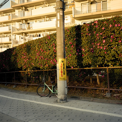 においのジャケット写真