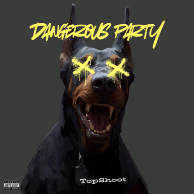 Dangerous party Front Cover