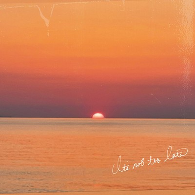 it's not too late Front Cover