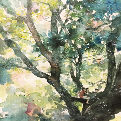 sunlight filtering through trees Front Cover