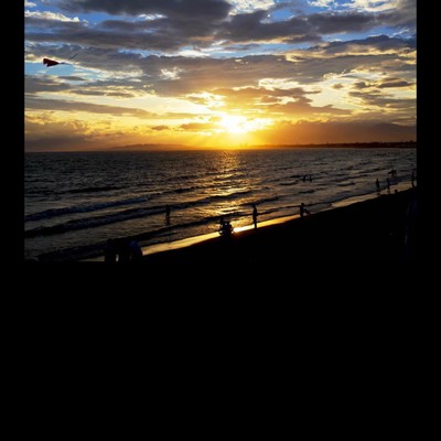 See and what happened this morning Front Cover