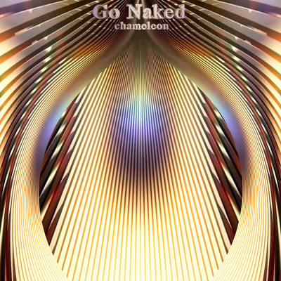 Go Naked Front Cover