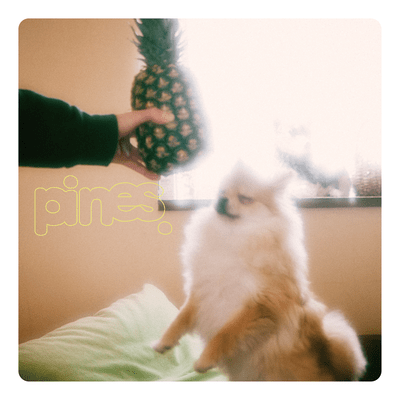 Sun Strokeのジャケット写真