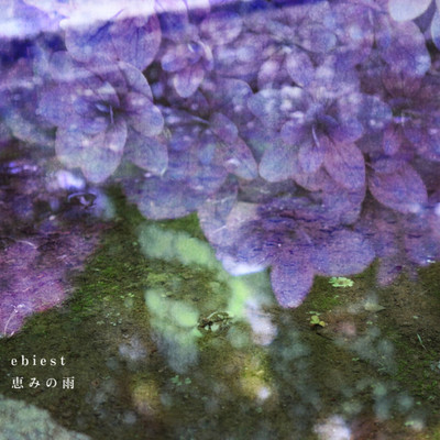 恵みの雨のジャケット写真