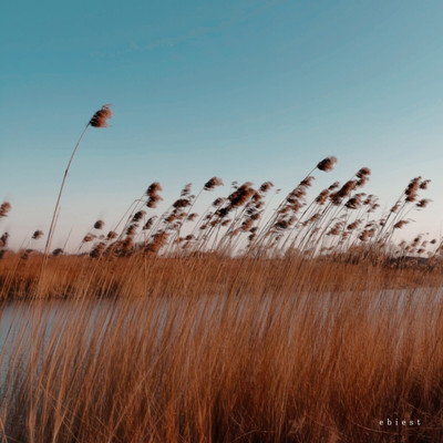 MAHOROBAのジャケット写真