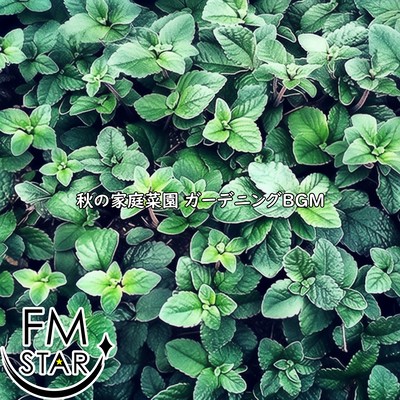 Autumn home vegetable garden Gardening BGM Front Cover