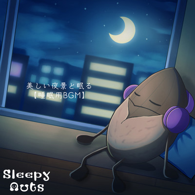 Sleep with the beautiful night view Sleep BGM Front Cover