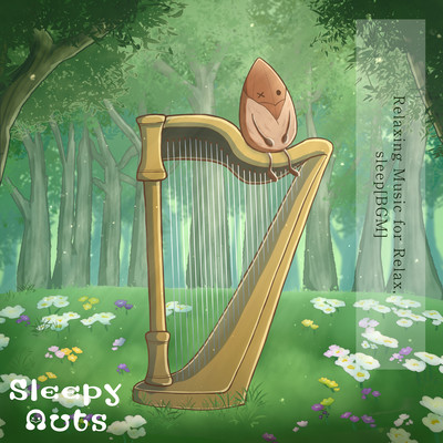 Relaxing Music for Relax sleep BGM Front Cover